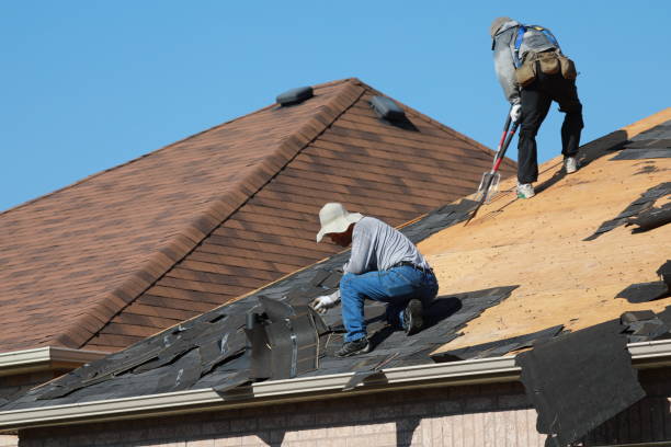 Best Roof Maintenance and Cleaning  in Emerald Isle, NC